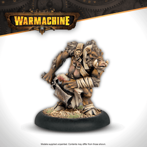 Warmachine: Thornfall Alliance Command Starter - Steamforged Games
